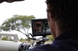 Pic of Rich filming female leopard.